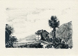 LA CASETTA E L'ALBERO