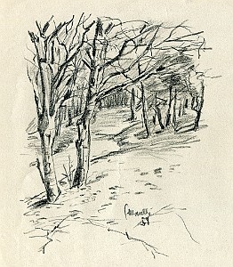 NEL BOSCO